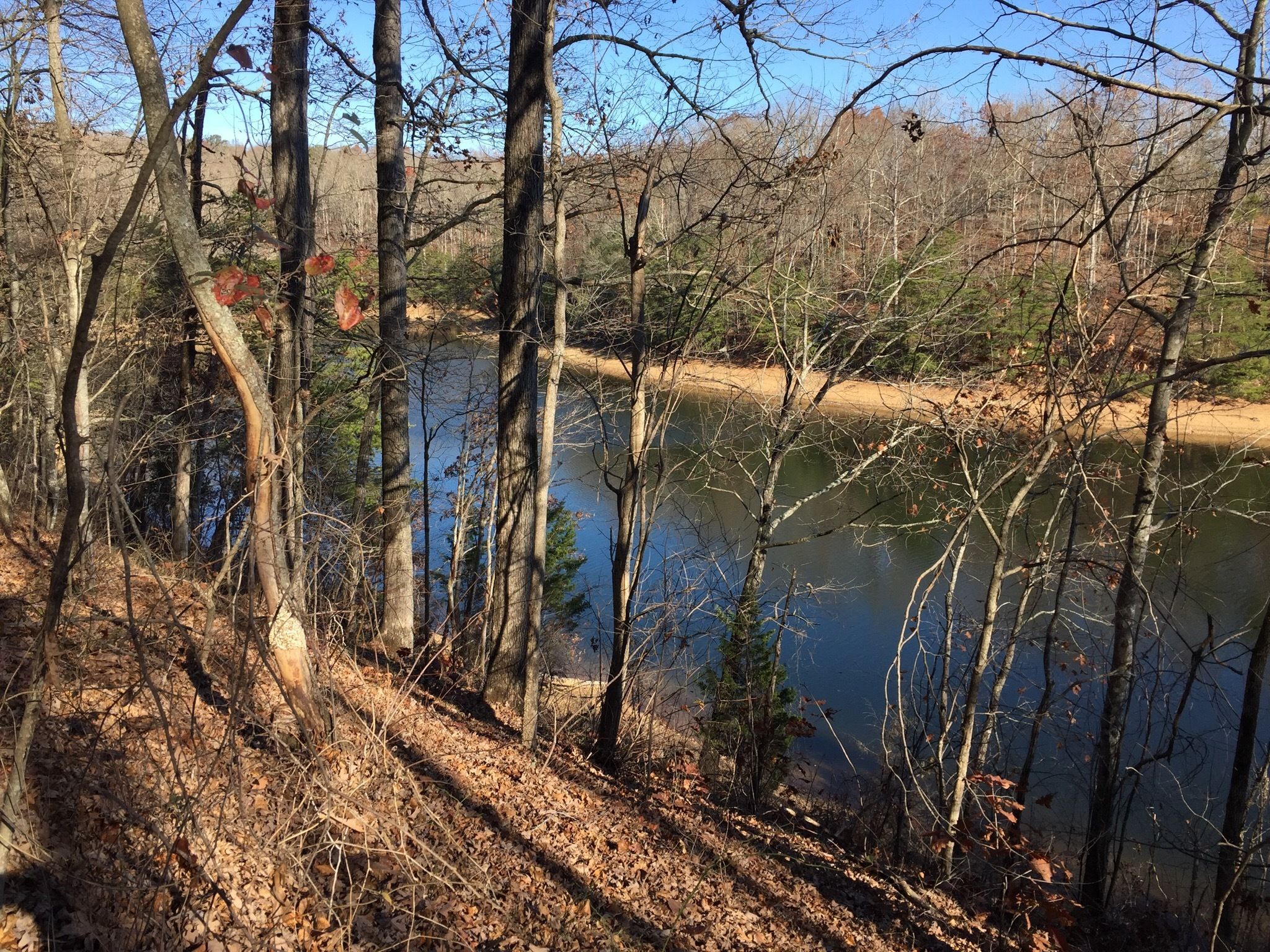 Laurel River Lake Trail
