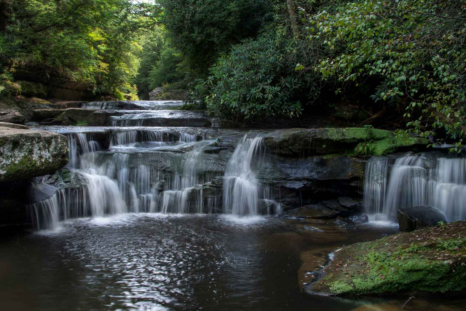 Bark Camp Cascades
