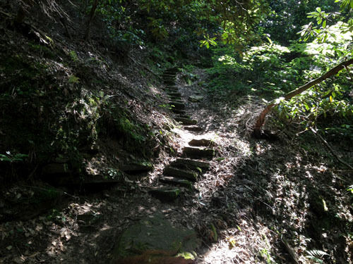 Blue Bend Trail