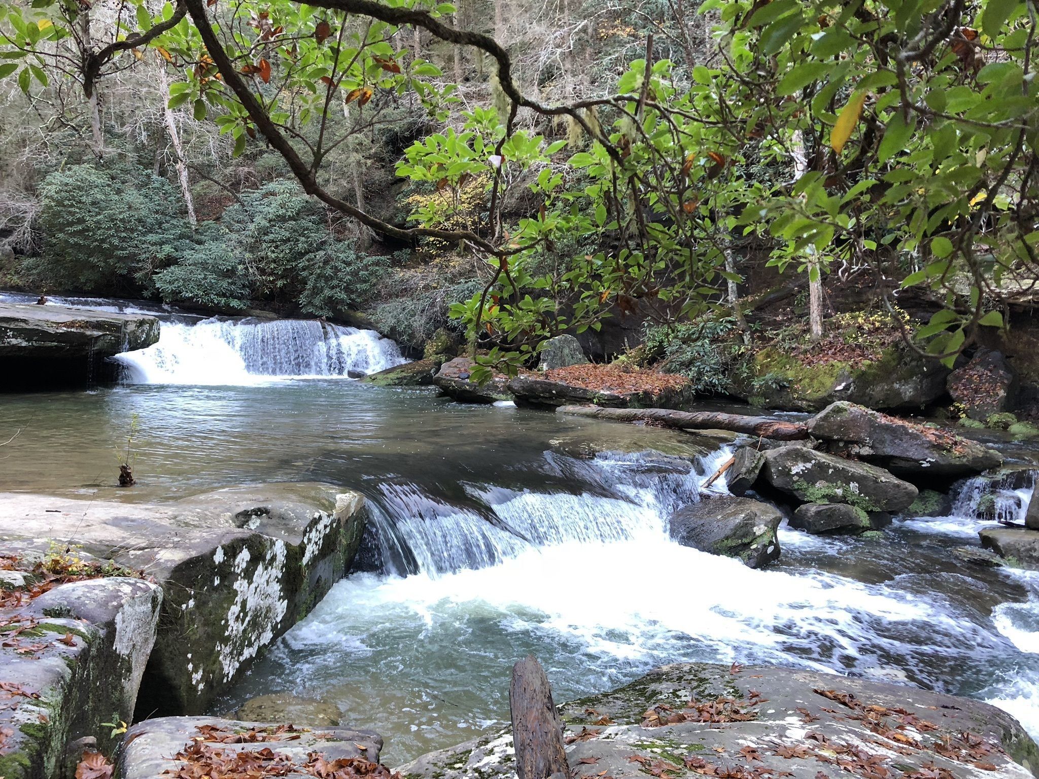 Bark Camp Trail