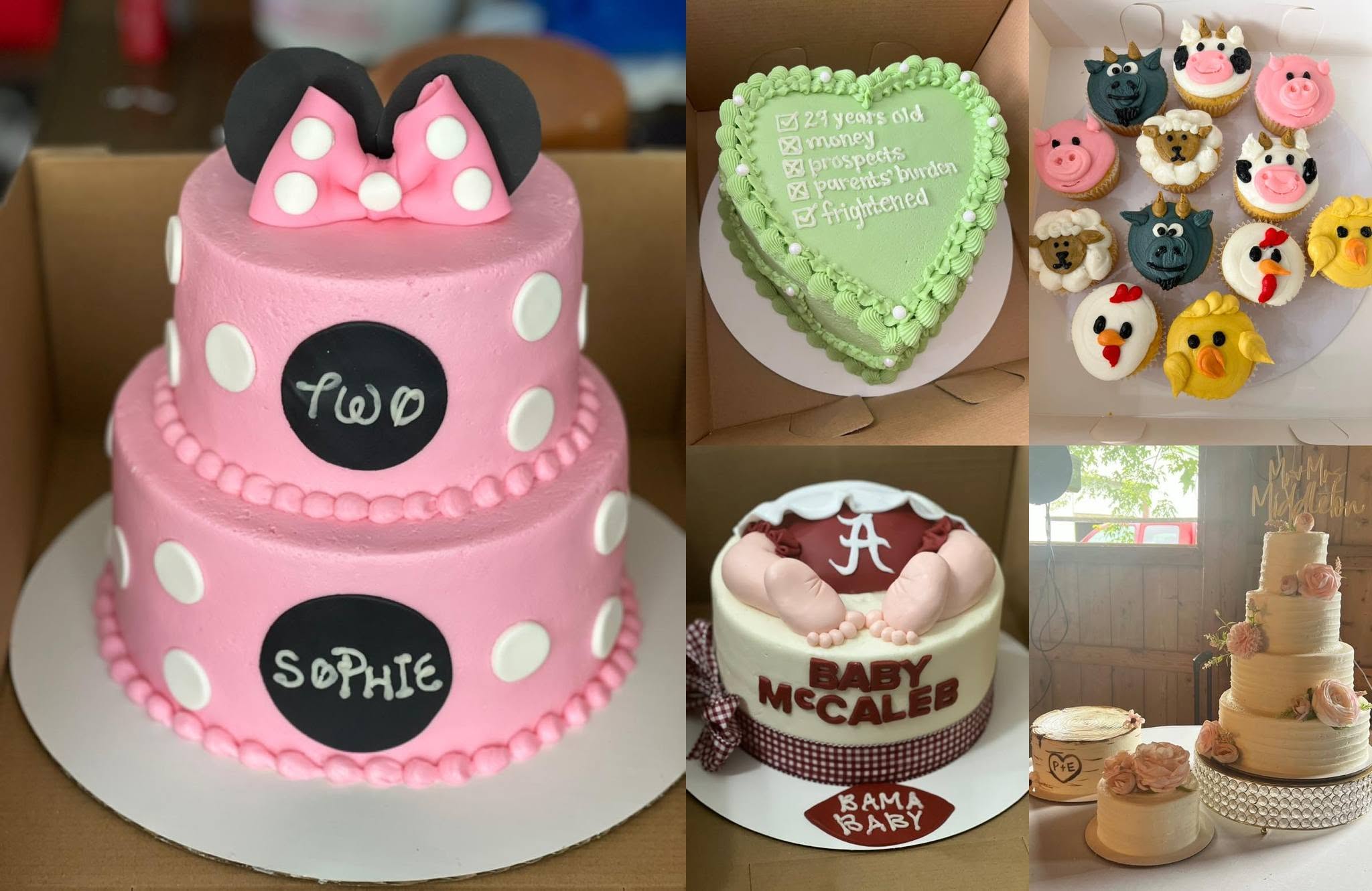 Sugar Boogers Custom Cakes
